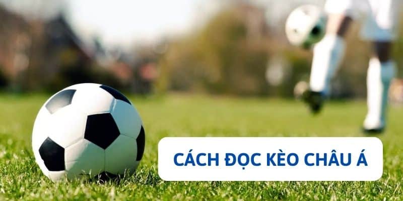 Cách đọc kèo Châu Á chuẩn nhất theo chia sẻ của WW88
